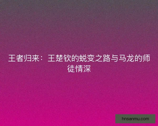 王者归来：王楚钦的蜕变之路与马龙的师徒情深