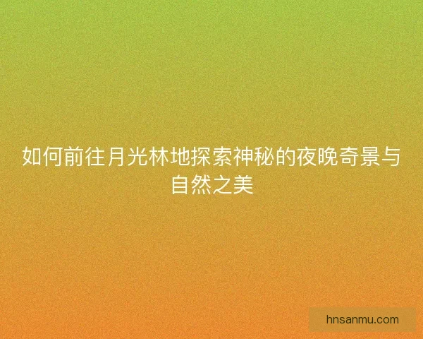 如何前往月光林地探索神秘的夜晚奇景与自然之美