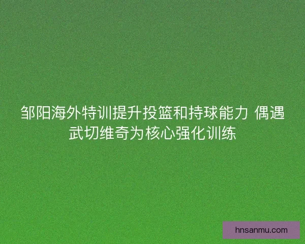 邹阳海外特训提升投篮和持球能力 偶遇武切维奇为核心强化训练