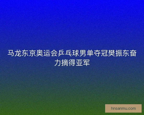 马龙东京奥运会乒乓球男单夺冠樊振东奋力摘得亚军