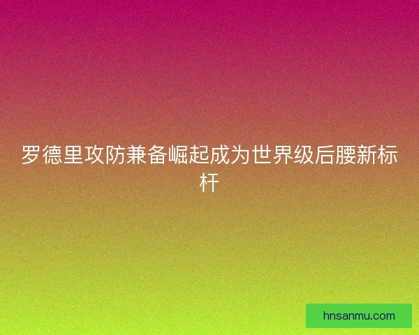 罗德里攻防兼备崛起成为世界级后腰新标杆