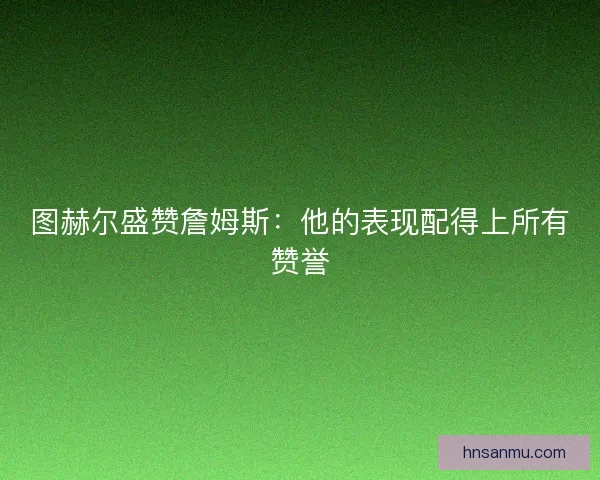 图赫尔盛赞詹姆斯：他的表现配得上所有赞誉